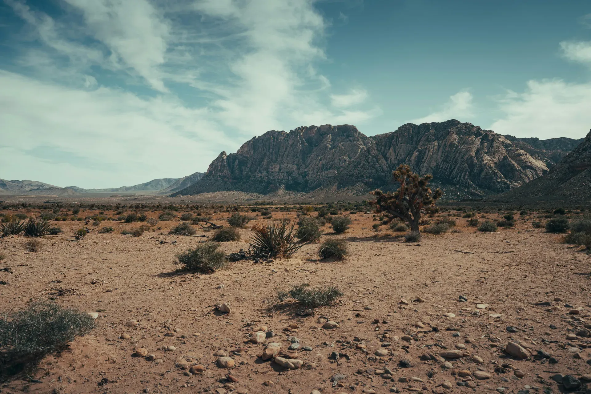 Desierto de Mojave
