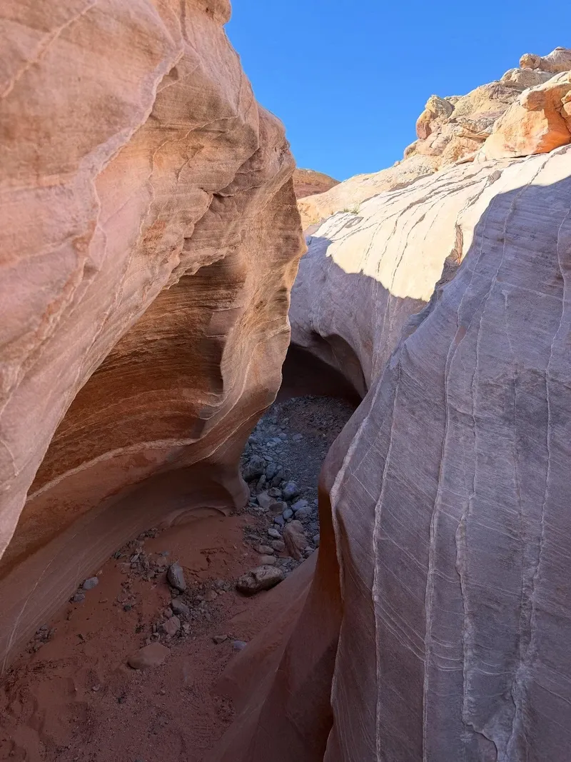 Mojave Desert view 3