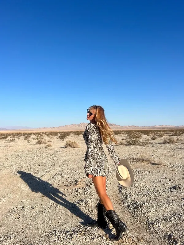 Mojave Desert visitor photo 6